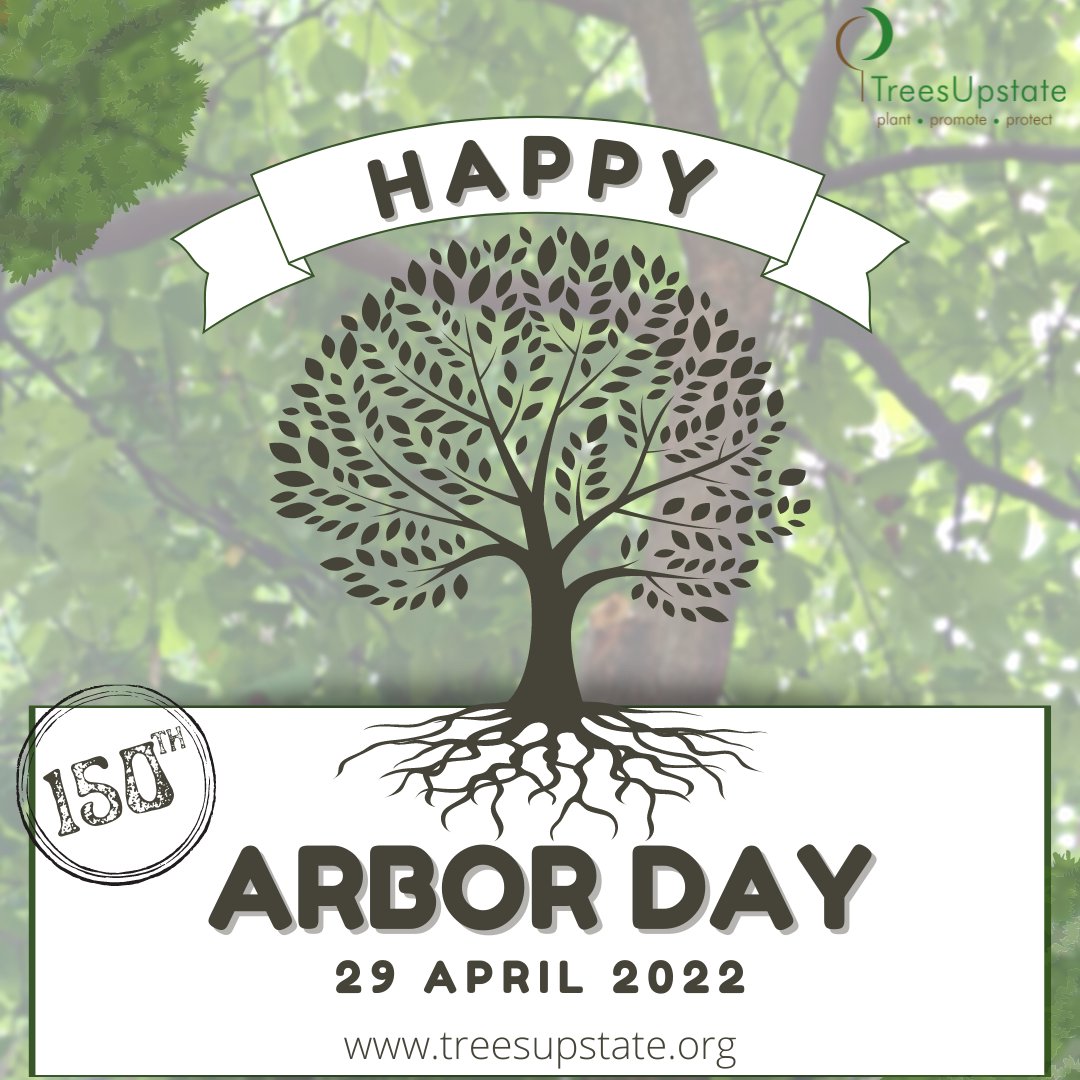 TreesUpstateSC's tweet image. 🌳 Happy National Arbor Day! 🌳 Today is the 150th anniversary of the first national Arbor Day in 1872!
Check out our website to see how you can support our mission to PLANT, PROMOTE, and PROTECT the trees in the Upstate.
#arborday2022 #plantpromoteprotect #plantmoretrees