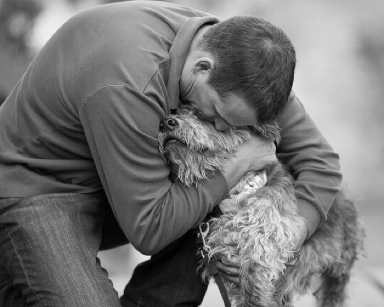 70% of dog owners hug their dog more than they hug significant people in their lives. #dogfact #dogsarefamily #dogs