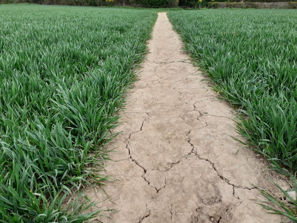 LisaMWilde's tweet photo. #DryApril #Shropshire #loveukweather https://t.co/hopo0Rdb1P