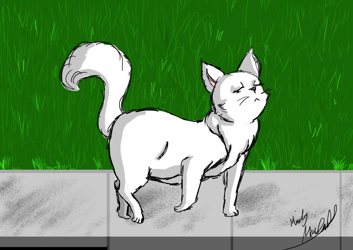 macdonald663's tweet photo. Experimenting with creating characters digitally, these were so fun! 

I created a huge bunch which I can't wait to share. I feel like I could make a wee kids book out of them.

#digitalart #art #cartoons #animals #pets #drawing #sketch #illustrations #cats #dogs #artist https://t.co/gOtfY6EH23