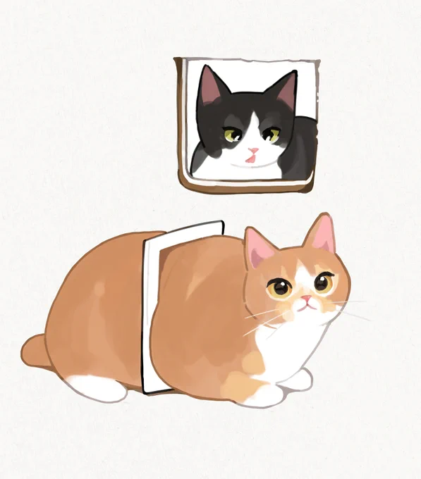 portal cat 