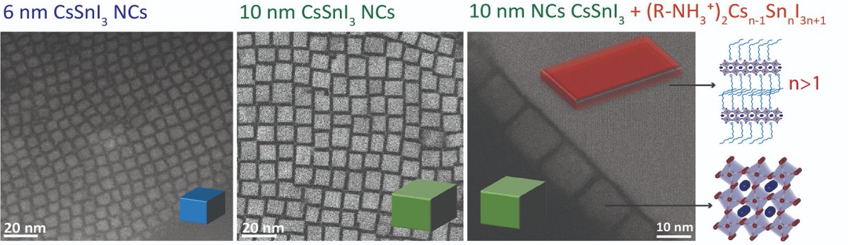 Our paper on Sn halide perovskite nanostructures is now accepted. @ZernikeInst 
Congrats to Kush for his first publication and a big thank you to our collaborators. 
onlinelibrary.wiley.com/doi/abs/10.100…