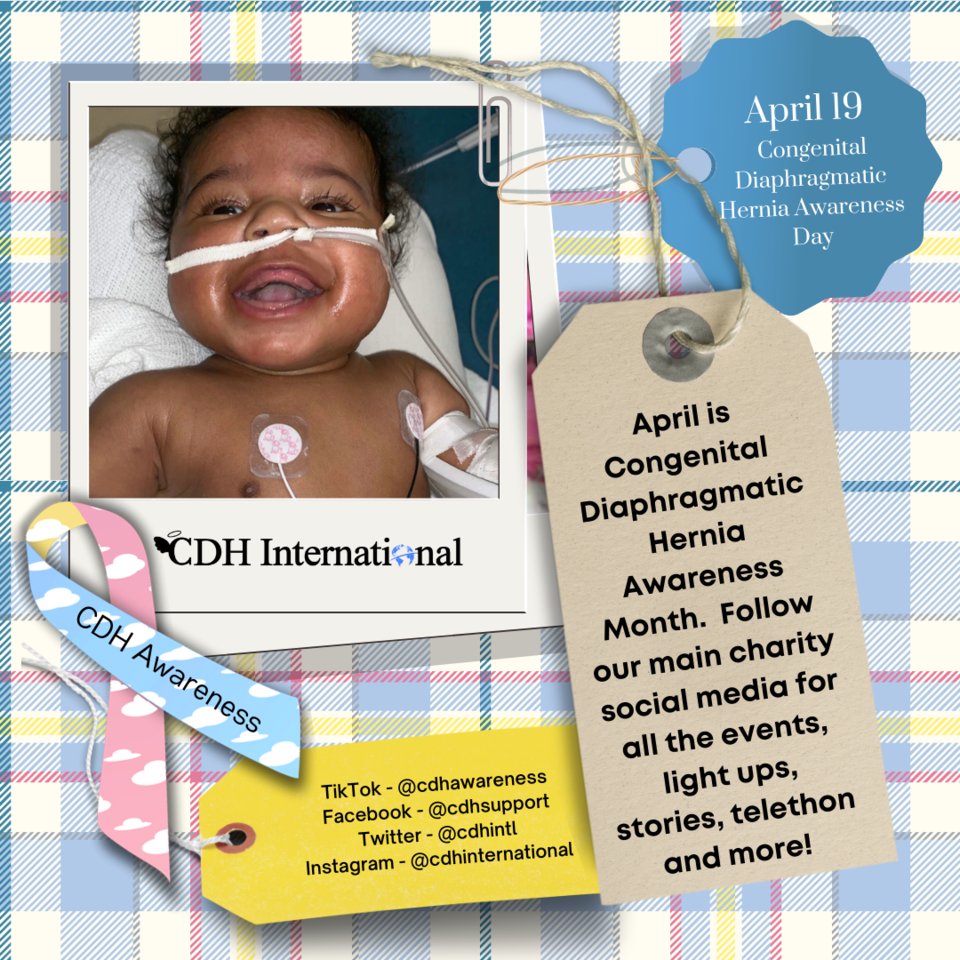 April is Global Congenital Diaphragmatic Hernia Awareness Month!

Follow our main charity social media for all the events, light ups, stories, telethon and more! 

cdhawarenessday.org

#CongenitalDiaphragmaticHernia #CDH #CDHAwareness #cdhchallenge #CDHAwarenessMonth
