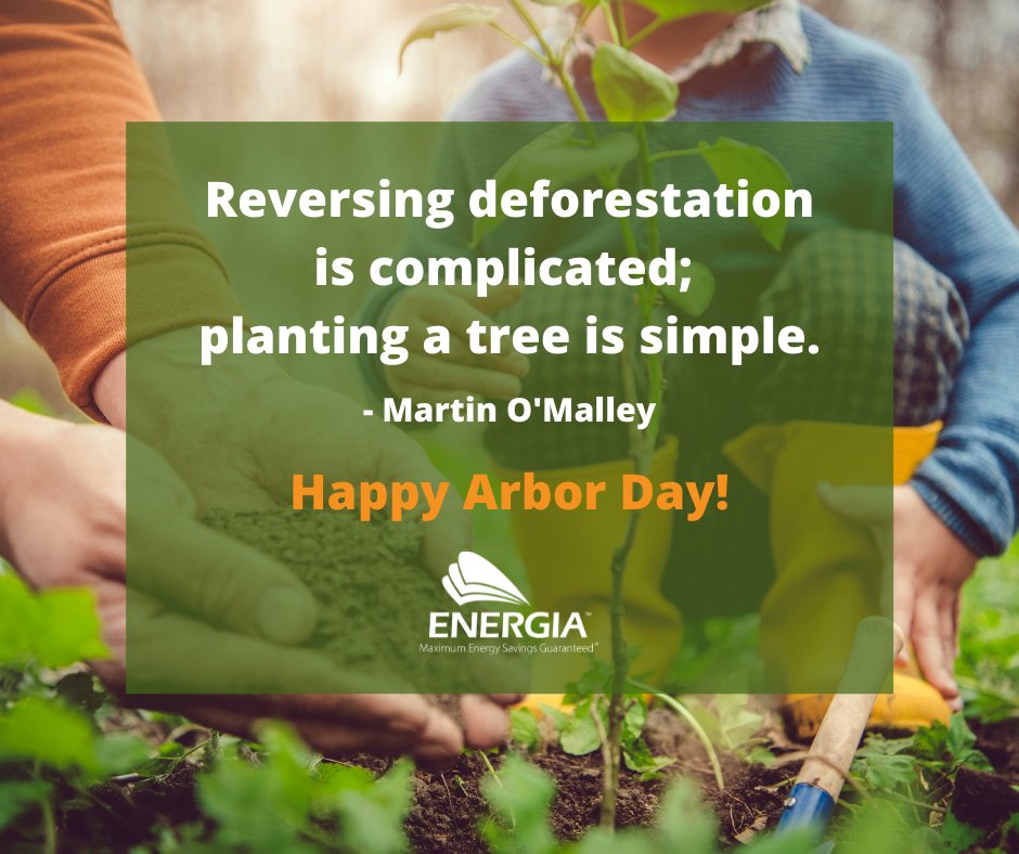 EnergiaSaves's tweet photo. Energy savings can be simple too! And like planting trees - the planet benefits.
#EnergiaSaves #EnergyPerformanceContracts #Energysavings
https://t.co/O1LrpVoLX1 https://t.co/a6mwTMIfDI