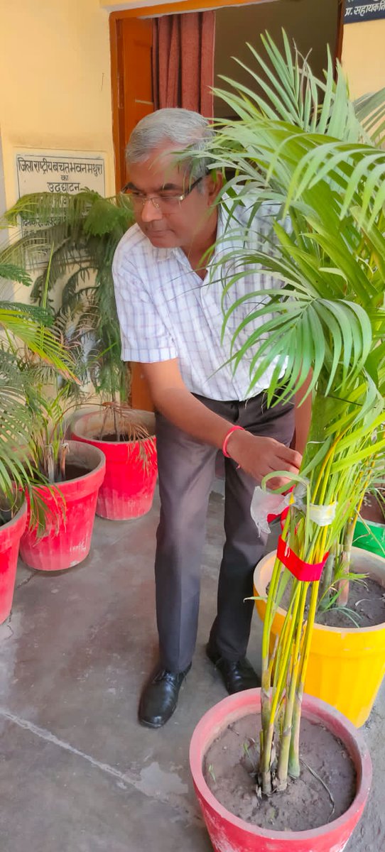 RedTapeMovement's tweet photo. The @SavingsMathura organised @RedTapeMovement on #150thAnniversary of #ArborDay &amp; tied #redtape on plants to deliver message that #deforestation is lethal #ForNature. All the 4 districts savings offices of #Agra Division are #CarbonNeutral https://t.co/I8b8AblLab #HappyArborDay https://t.co/vEbQMLA4mA