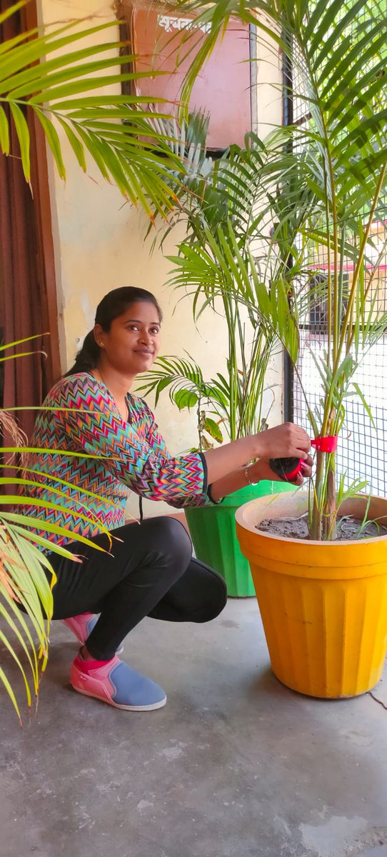 RedTapeMovement's tweet photo. The @SavingsMathura organised @RedTapeMovement on #150thAnniversary of #ArborDay &amp; tied #redtape on plants to deliver message that #deforestation is lethal #ForNature. All the 4 districts savings offices of #Agra Division are #CarbonNeutral https://t.co/I8b8AblLab #HappyArborDay https://t.co/vEbQMLA4mA