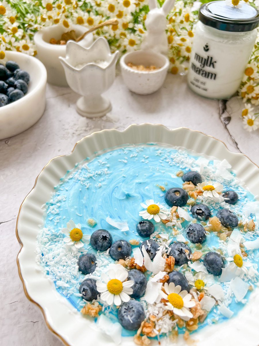 LamiaAlGhareeb's tweet photo. Vegan Coconut Yogurt topped with blueberries, seeds &amp; shaved coconut 🥥 https://t.co/AgVBIeDWFp