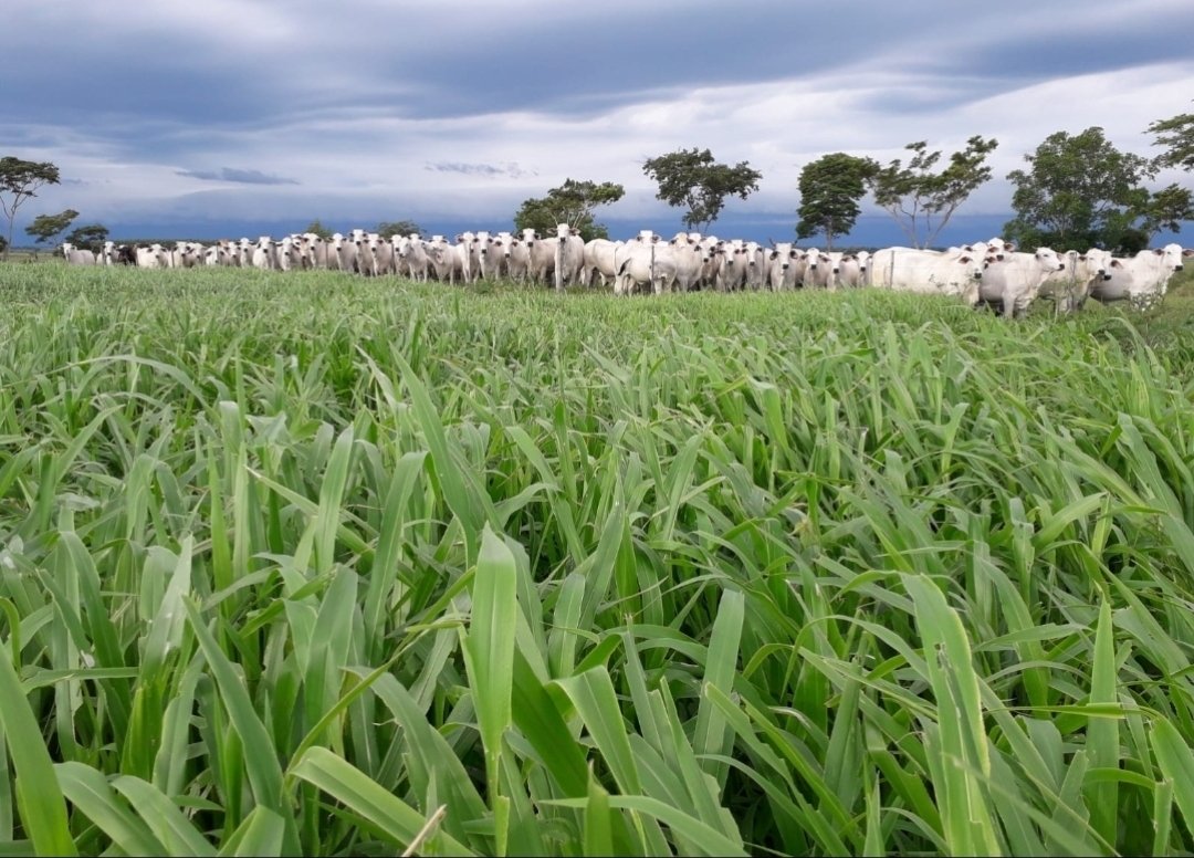 Buenos días! Hermosa mañana, verdad...