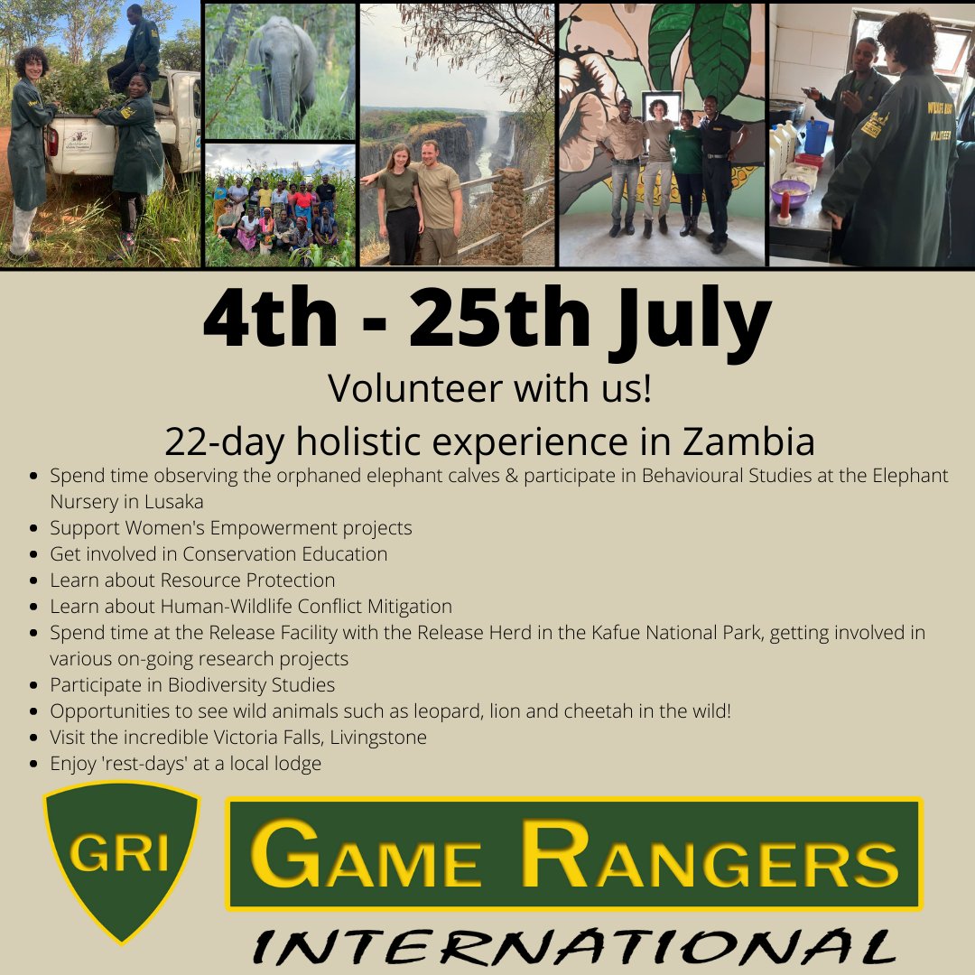 GameRangersInt's tweet photo. Apply now!
https://t.co/N8Egc8QLV6

#volunteer  #HolisticVolunteer #elephantbehaviour #elephantconservation #WeAreAllRangers #africanelephant #Zambia #africawildlife #womensempowerment #protectwildlife https://t.co/AprZraKHSJ