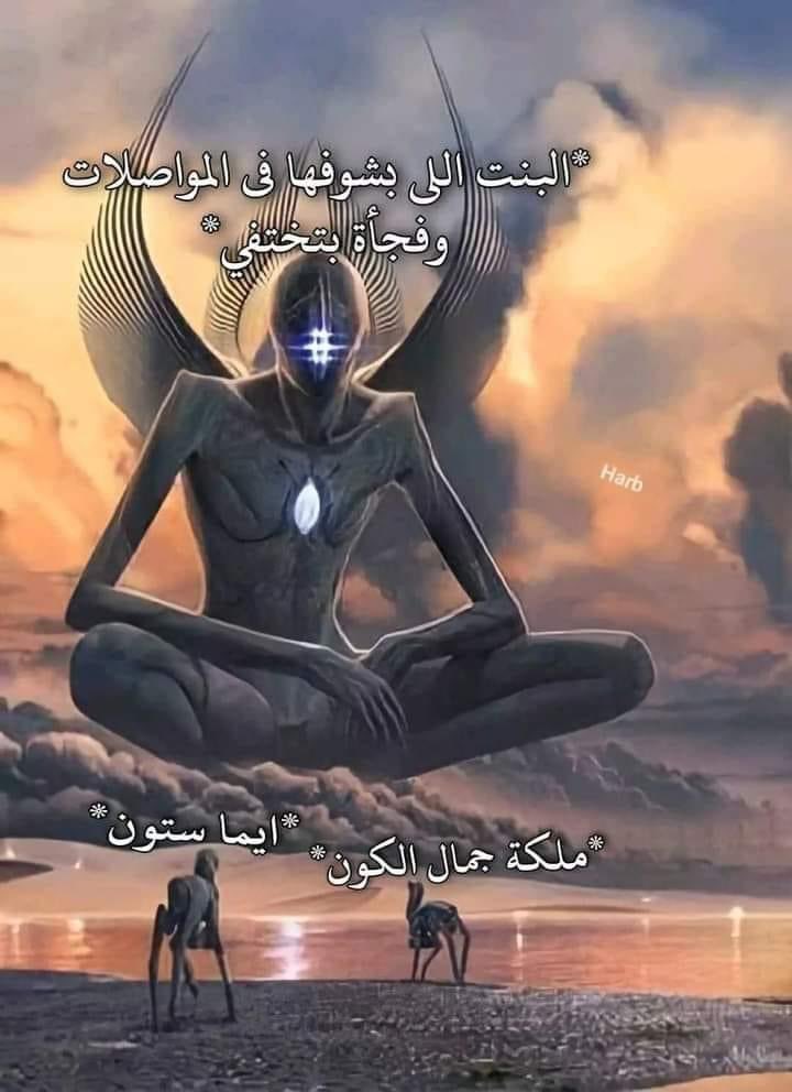 MVL_MUSTAFA_'s tweet photo. https://t.co/fbXZJAMifq