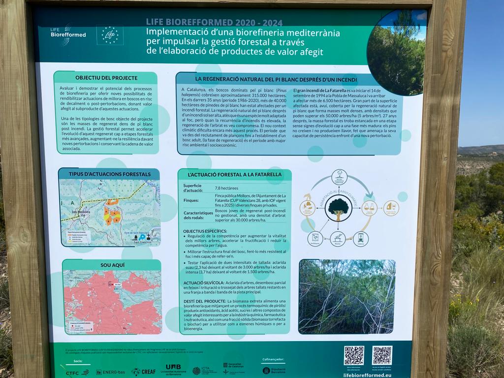 biorefformed's tweet photo. Senyalitzem les actuacions #silvícoles de La Fatarella: #aclarida d’#arbres, #desembosc parcial i trituració o trossejat dels arbres tallats restants. La #biomassa extreta anirà a la #biorefineria per produir productes per a indústria #química, #farmacèutica i #nutracèutica. https://t.co/DxV2DmPSJ3