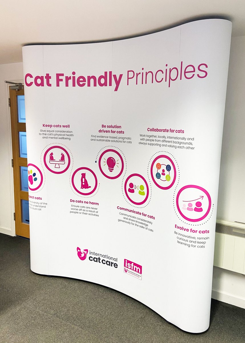 Mail and Print (@mailandprint) on Twitter photo We just printed this fantastic trade stand for our friends at <a href="/iCatCare/">International Cat Care</a> why not give us a call on 0800 1300 960 or visit us at mailandprint.co.uk We just printed this fantastic trade stand for our friends at <a href="/iCatCare/">International Cat Care</a> why not give us a call on 0800 1300 960 or visit us at mailandprint.co.uk