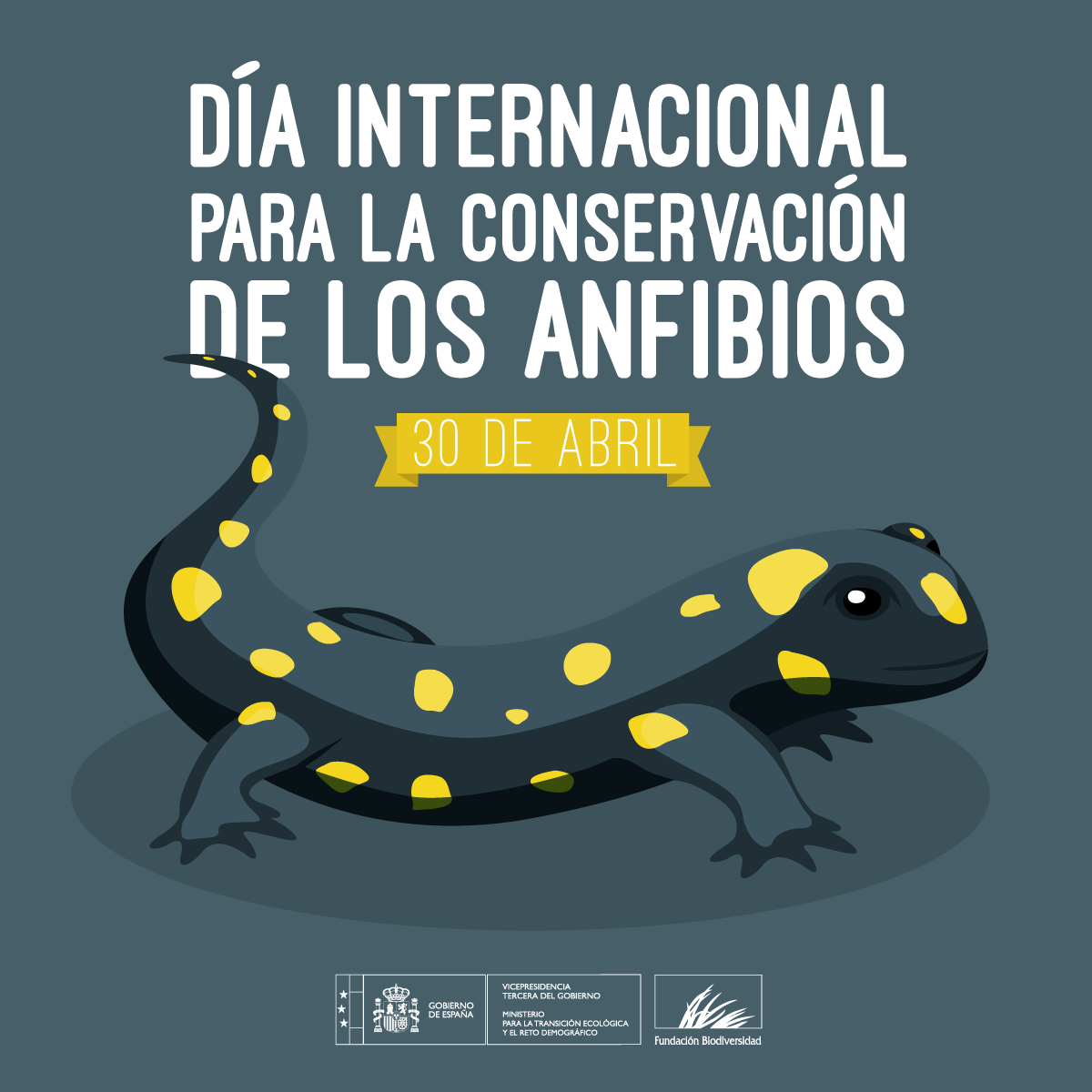Fundación Biodiversidad tweet media