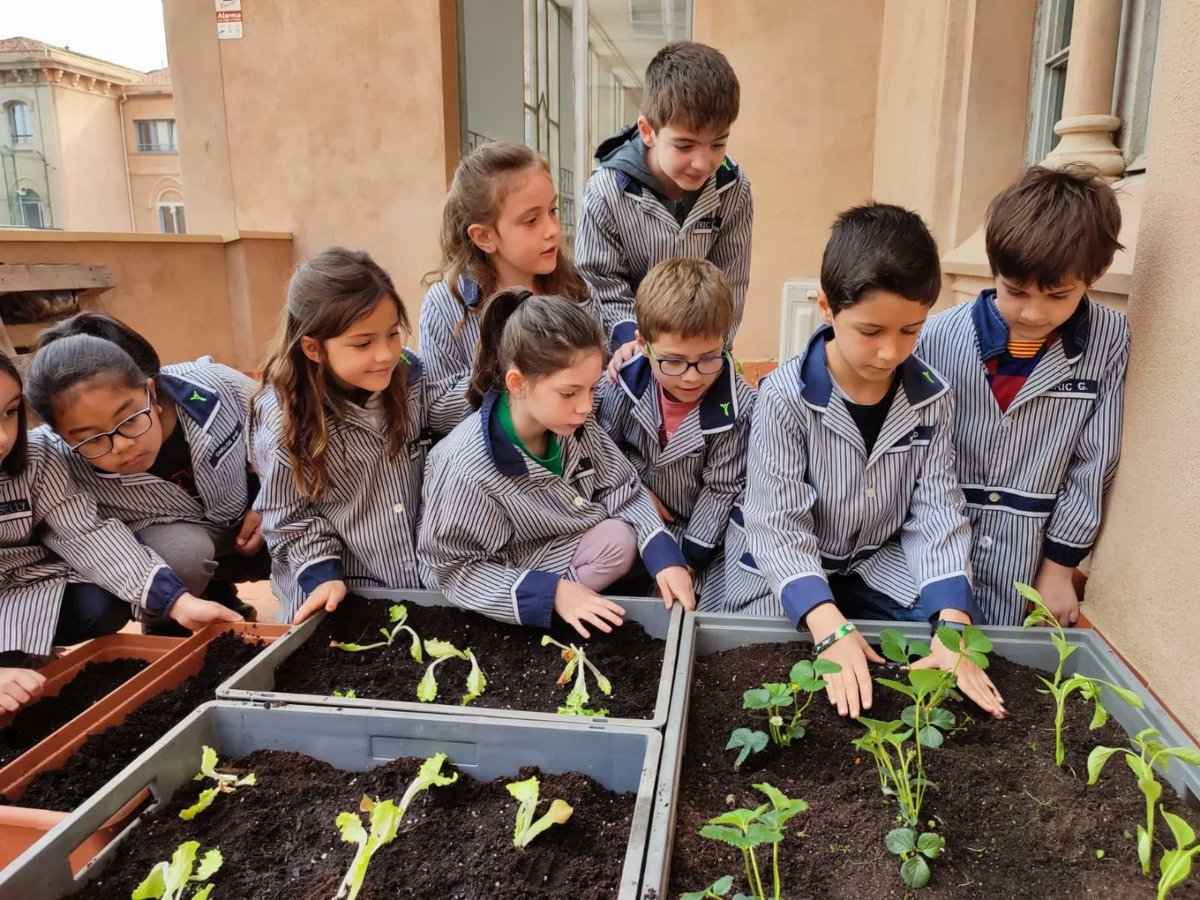 epiasabadell's tweet photo. enciams, escaroles, pebroteres, maduixeres i tomàquets... Ara caldrà cuidar-les i fer-les créixer bé. Som-hi!!!!!!
#2NPRIPIASABADELL
#SUMMEMPIASABADELL https://t.co/B4IyxoUJv0