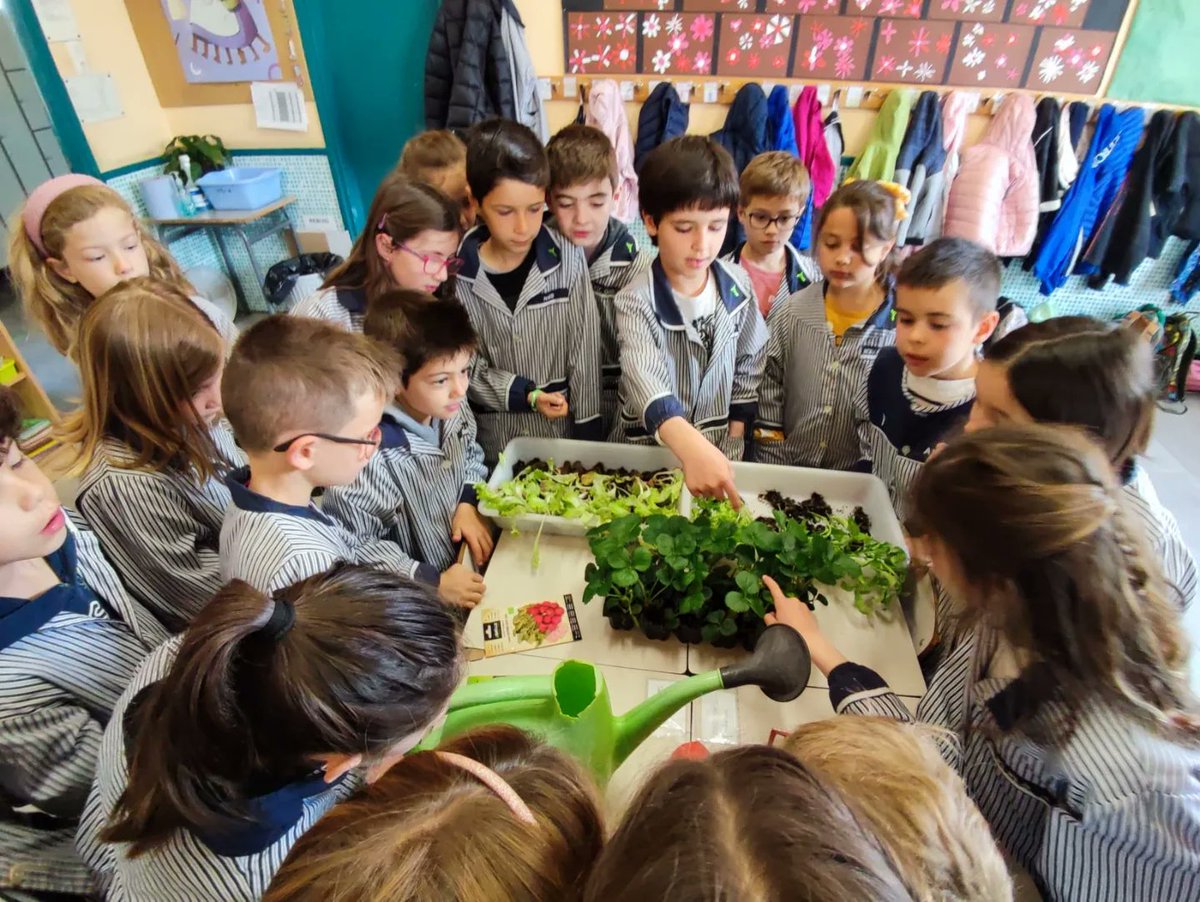 epiasabadell's tweet photo. enciams, escaroles, pebroteres, maduixeres i tomàquets... Ara caldrà cuidar-les i fer-les créixer bé. Som-hi!!!!!!
#2NPRIPIASABADELL
#SUMMEMPIASABADELL https://t.co/B4IyxoUJv0