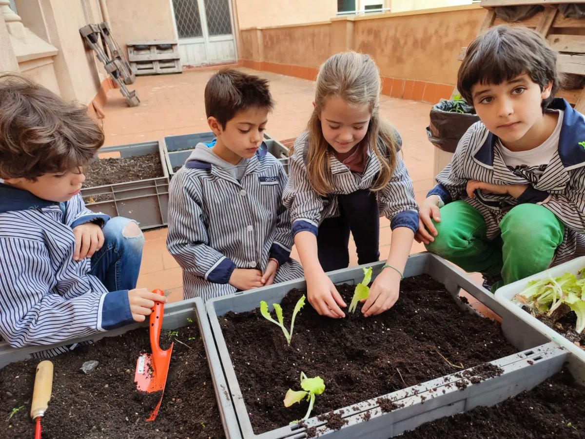 epiasabadell's tweet photo. enciams, escaroles, pebroteres, maduixeres i tomàquets... Ara caldrà cuidar-les i fer-les créixer bé. Som-hi!!!!!!
#2NPRIPIASABADELL
#SUMMEMPIASABADELL https://t.co/B4IyxoUJv0