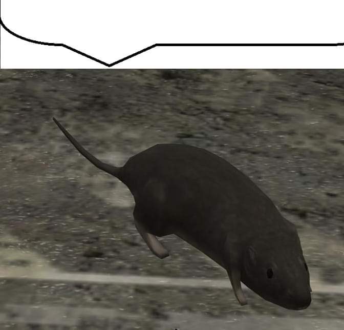 †Drag࿖ tweet media