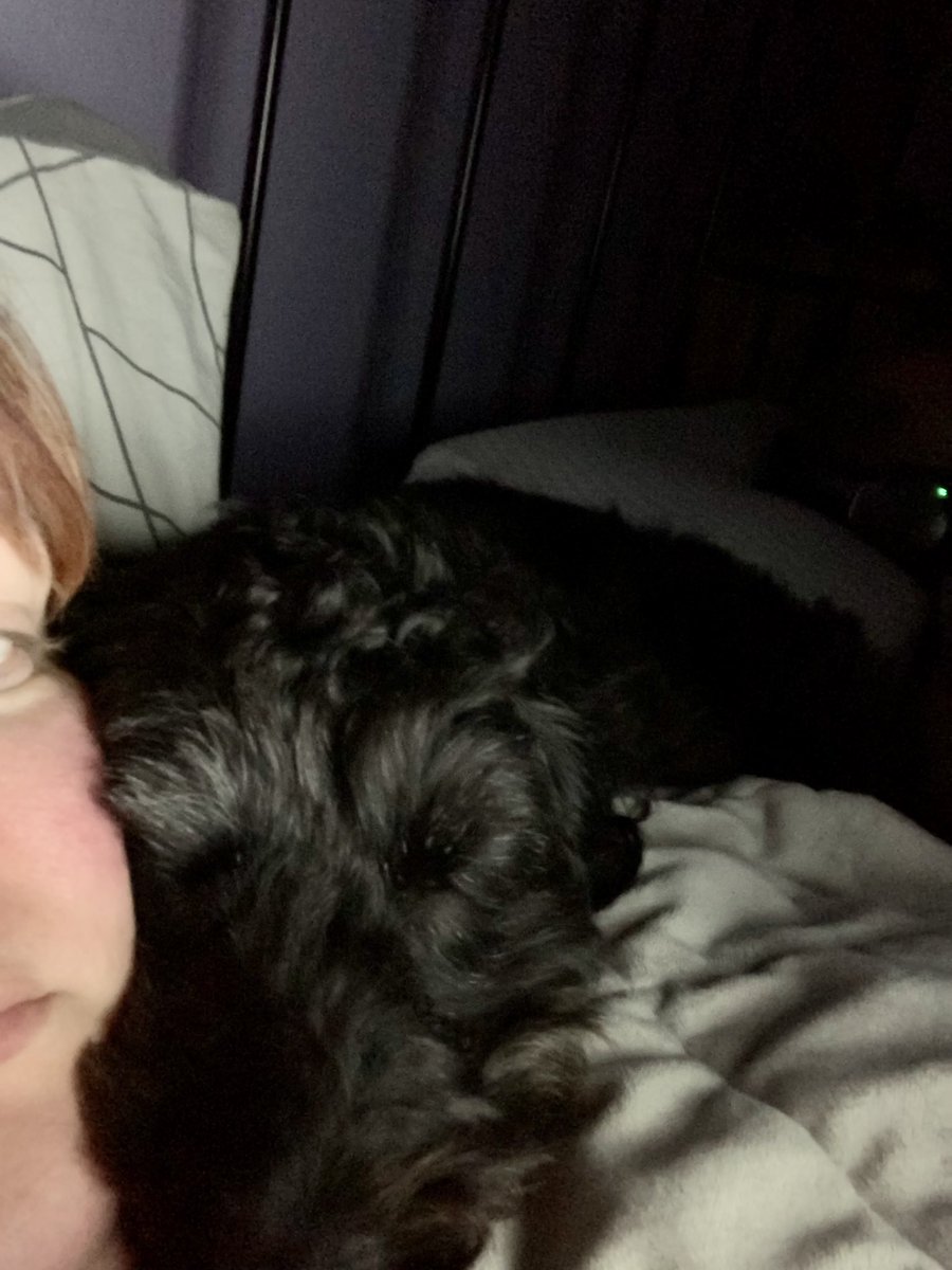 BrambleTherapyDog tweet media