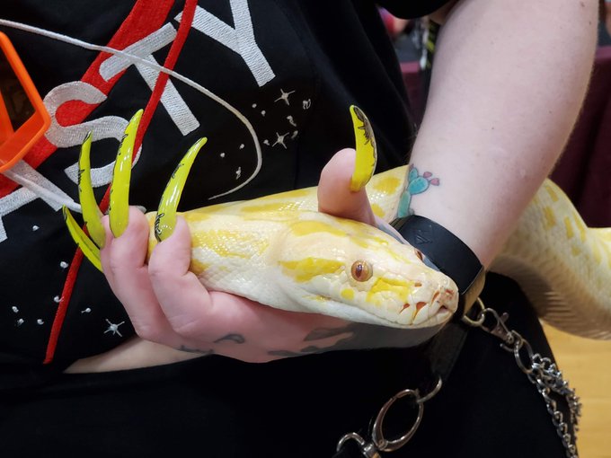 I met a really cool snake last weekend. His name was BB Allin ✨

I think he liked My nails! https://t