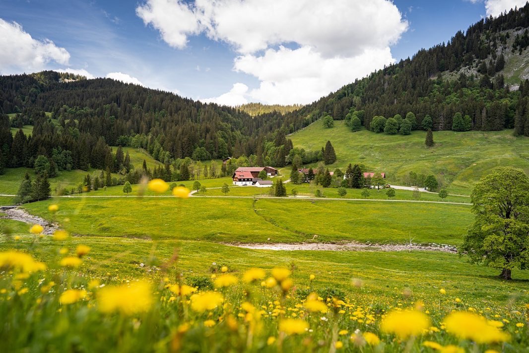 Schenke deinem Körper einen tiiiiefen Atemzug gefüllt mit bester Frühlingsluft aus dem Heilklimatischen Kurort Oberstdorf.🌷🏔☀️ #oberstdorf #heilklima #heimweh