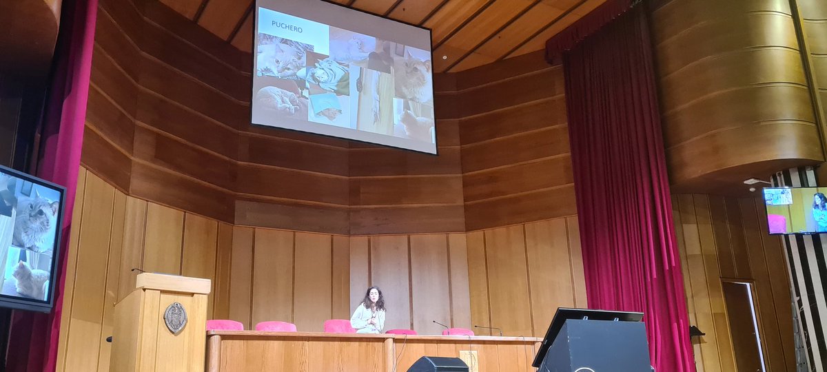 carlosSemeterio's tweet photo. Interpretar, actuar...y gatos en #ENETIUCM2022. Gracias @isslarav por tu claridad y tus consejtos. https://t.co/t9YlQZNU5p https://t.co/wzB6Sio8eA
