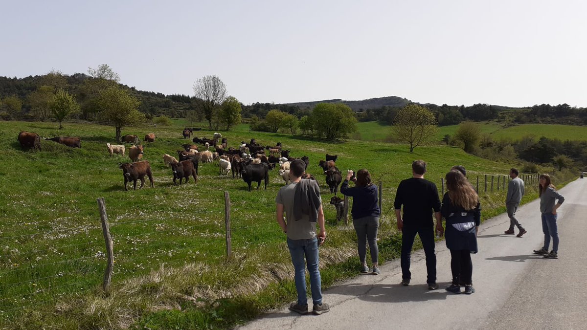 Agroterritori's tweet photo. Visita @Agroterritori a Vitoria con ganaderos de @uniopagesos de la mano de la cooperativa #ABERE.
Granja de vacuno de carne raza #Terreña, Valle Kuartango
#CLIMAGILProject para la adaptación al #CambioClimatico @ChambagriFrance de #Ariege y #HautesPyrenees
#POCTEFA y @FonsUECat https://t.co/pNHCNPT3I7