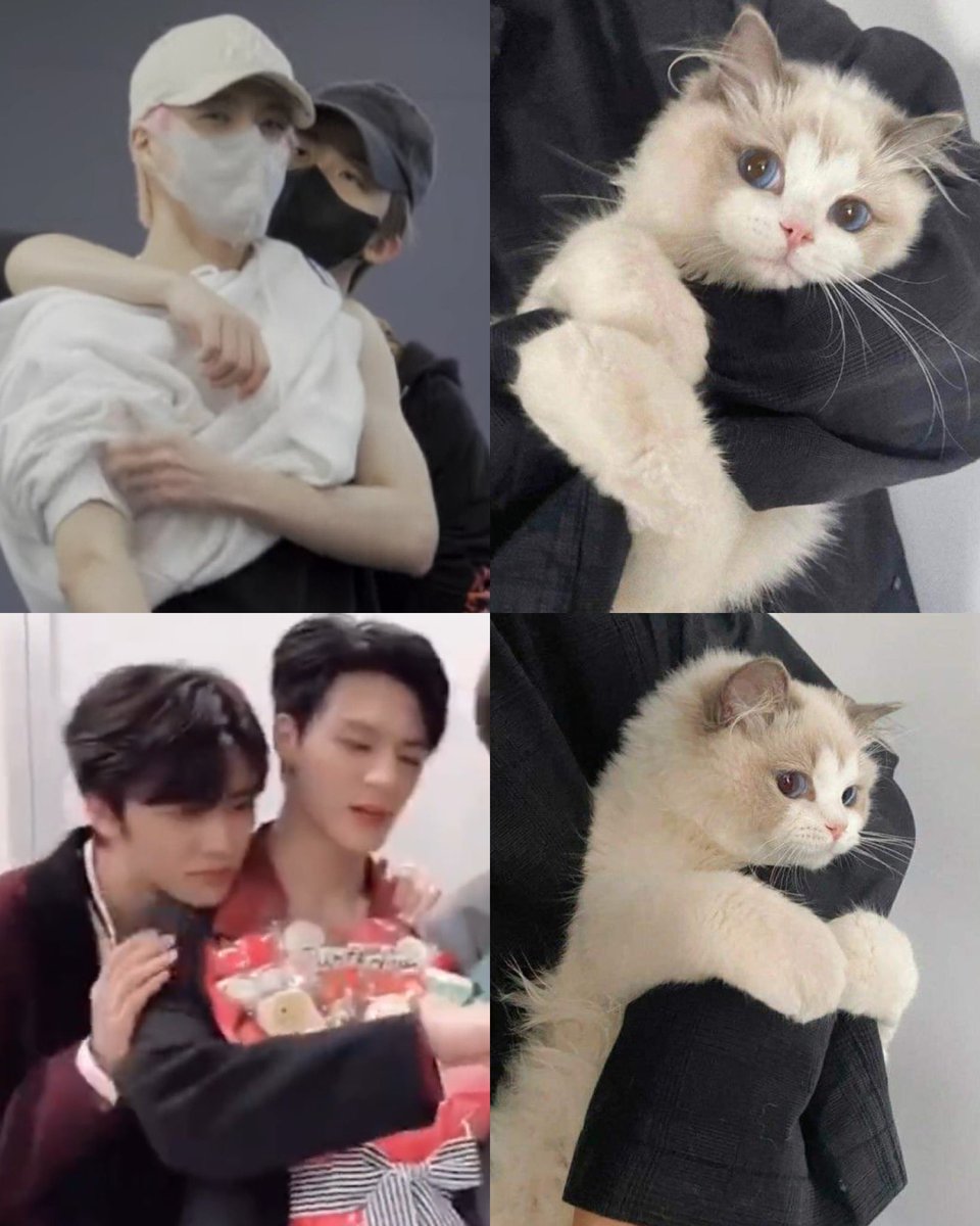 тrіρℓe ʲ ⁺◟✿ อุนยายมิ้วน้อย🐱ˎˊ˗ tweet media