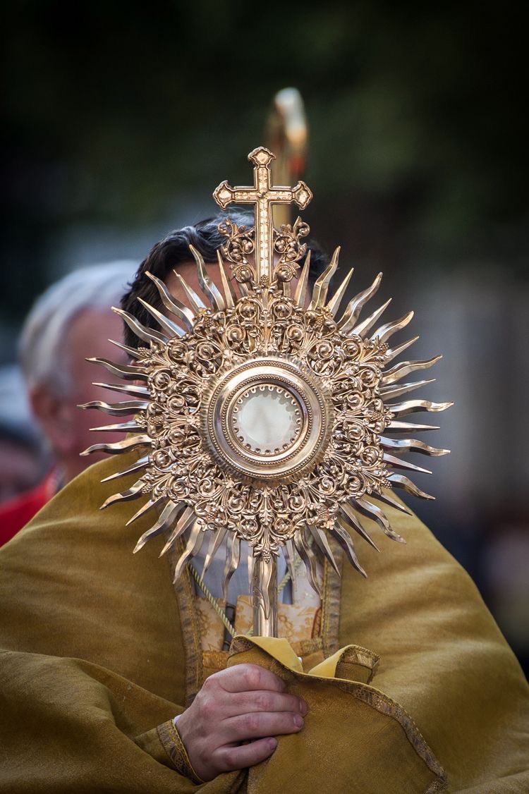 JefferyFasching's tweet photo. The Holy Eucharist is the source &amp; summit of our very lives… https://t.co/ntDqmnBzL4