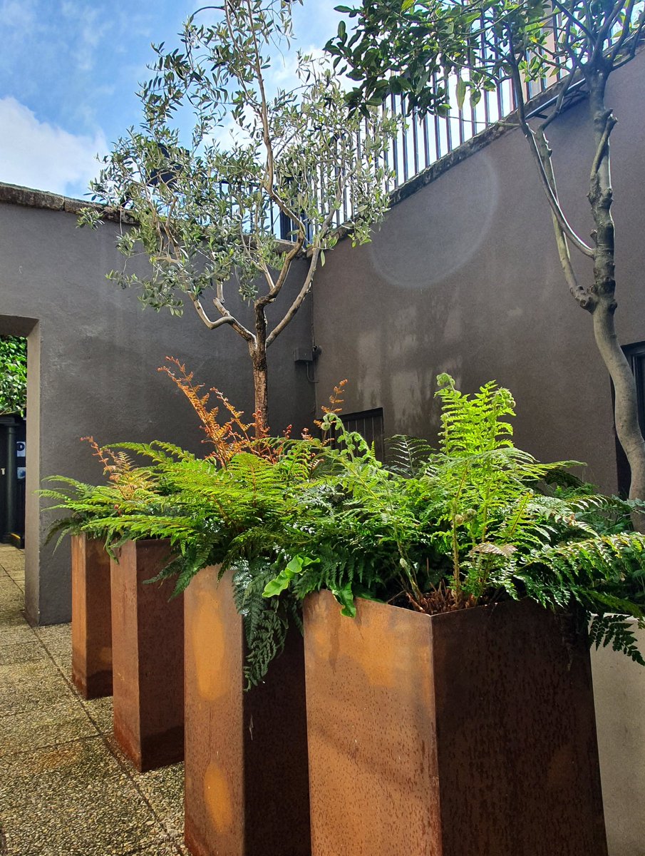 Chapter One by Mickael Viljanen tweet media