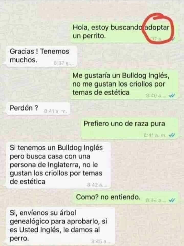 Formulas593's tweet image. Hechos los muy finos, adopta por amor, no por apariencia!!!