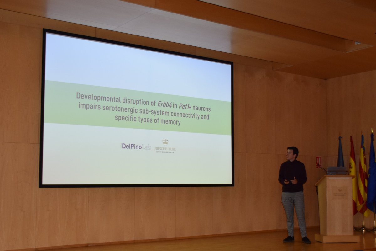 CIPFciencia's tweet photo. Amazing seminars today at @CIPFciencia by Snežana Đorđević on Novel Polymer-Drug Conjugates and Álvaro Ballesteros about Developmental Disruption of Erbb4 and Memory Formation #CIPFSeminars #MoreResearch #BetterHealth https://t.co/tFmjj7Jbzk https://t.co/6F8WN4T1PJ