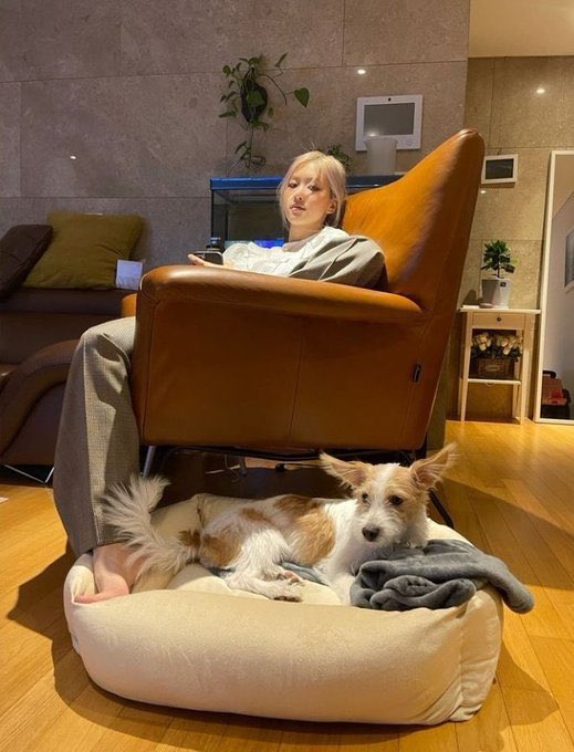 rozayverse's tweet photo. thread of rosé being problematic:🧶 https://t.co/oKG0E9aVZI