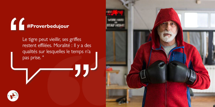 Proverbes Twitter Search Twitter