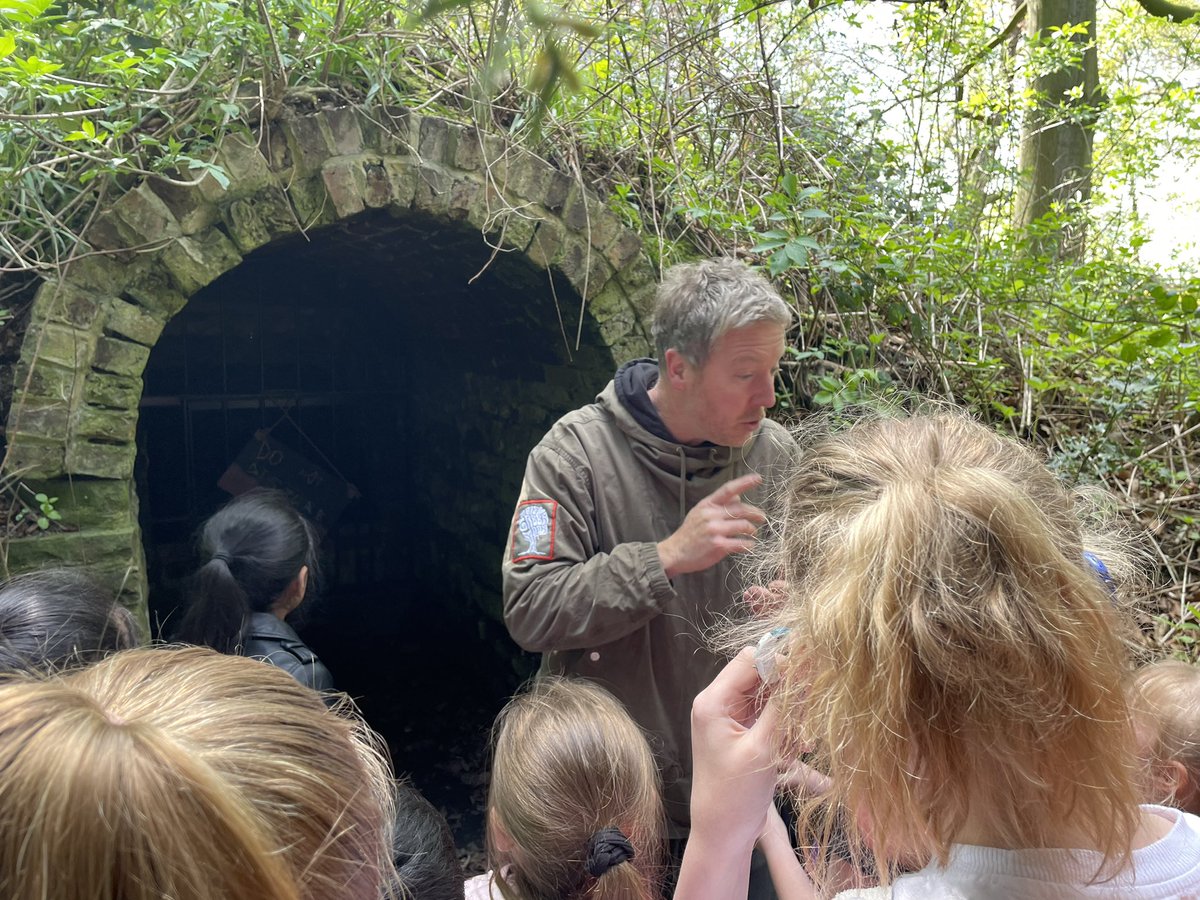 FlanshawJIN's tweet photo. We are having an amazing time in the forest for our culture competition! So far, we have had lunch around a camp fire and found a sleeping troll! #creativechameleons #activeants https://t.co/7HEVfdETkP