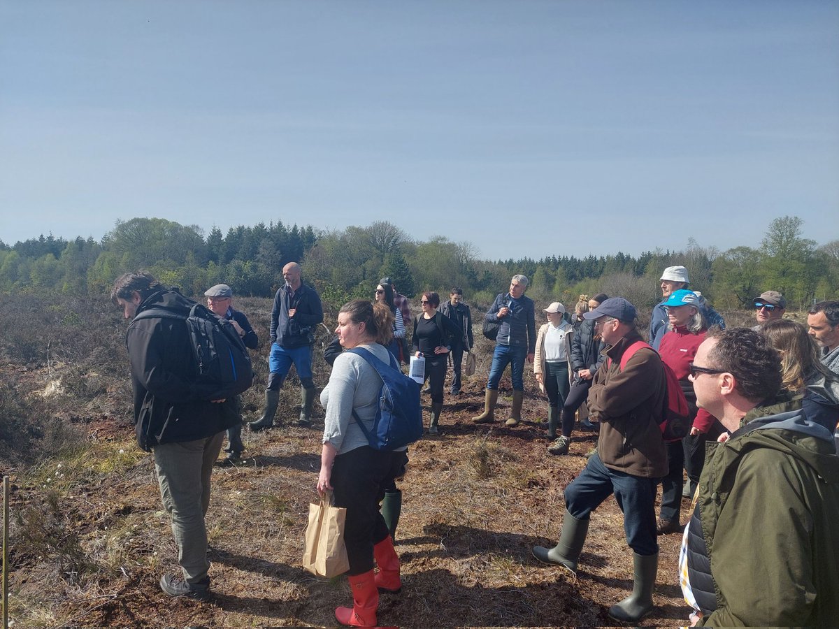 Care-Peat tweet media