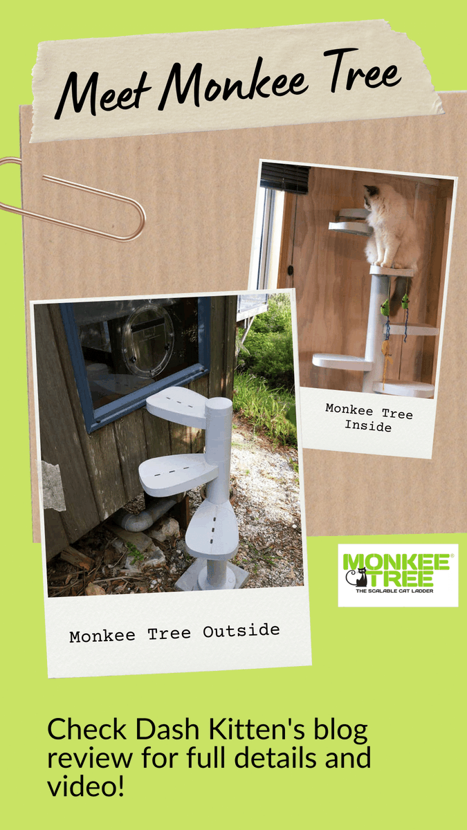 whskr's tweet photo. Proudly #MadeinNewZealand and #DesignedinNewZealand https://t.co/pmqQfvS8nj versatile and durable #MonkeeTree is a great #catlovers treat for your cats. #sponsored https://t.co/DAxwSIpcmh