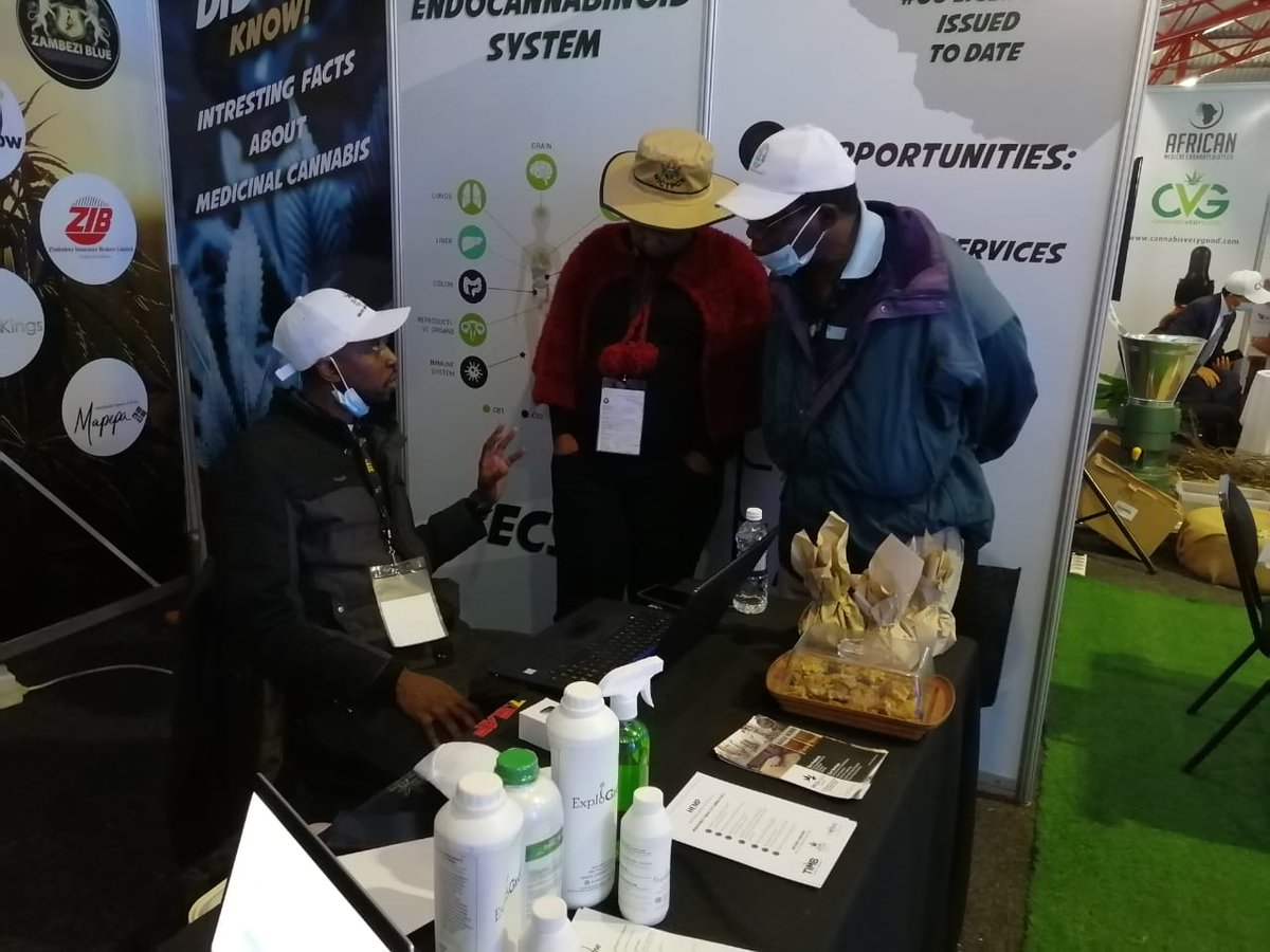zwiht's tweet photo. Visit Cannabis/ Mbanje stand in H4
#zitf2022 https://t.co/9SdVa5Zt31
