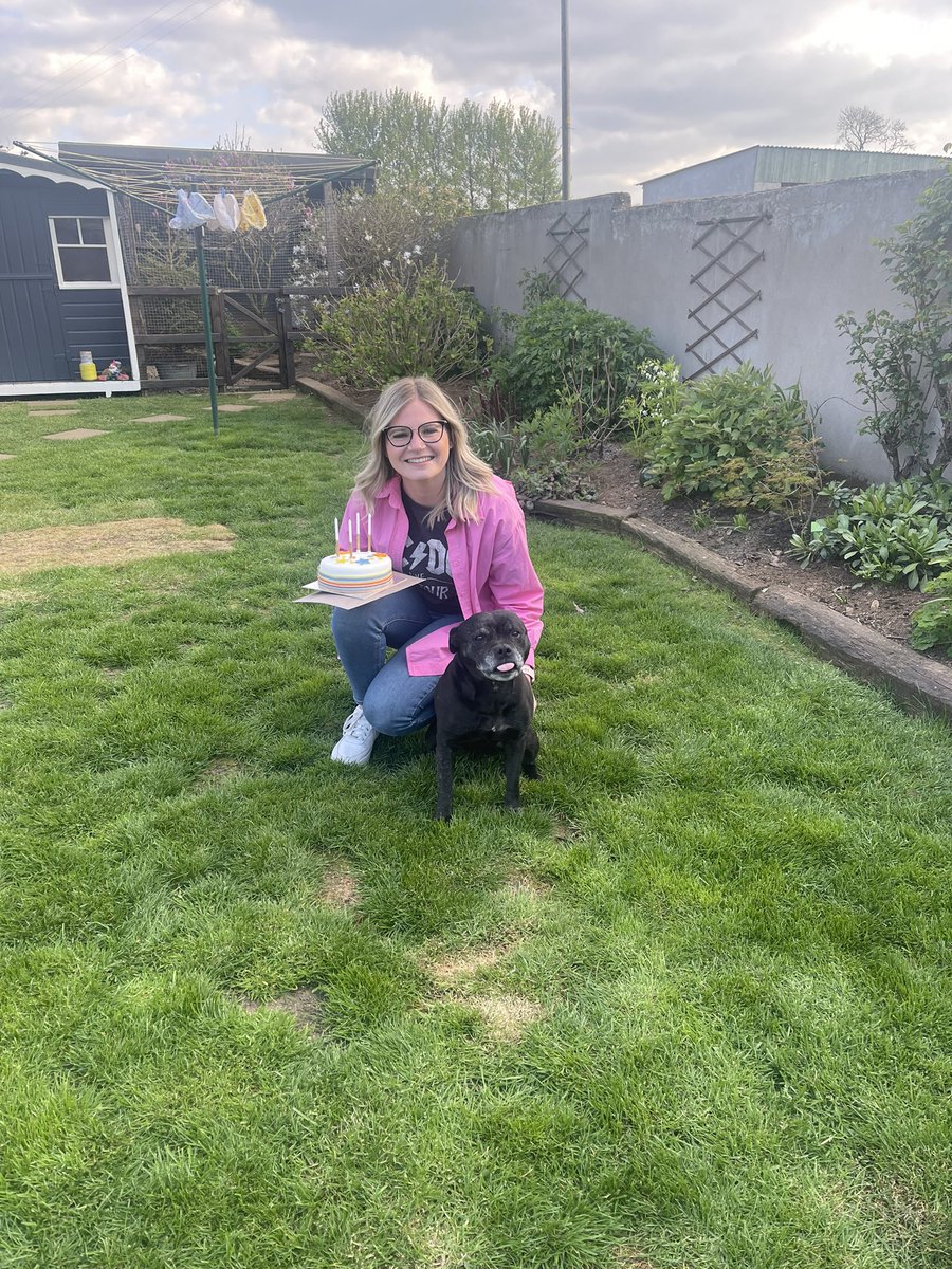 NicoleShaw12_'s tweet photo. My 3 darlings 🐶🥳🥰 https://t.co/2Cml0aM2RN