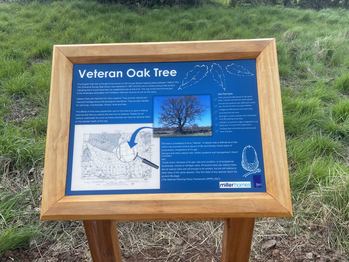 chalkybennett81's tweet photo. Nice to be doing something different for tree preservation. @FPCRltd @shelleysignsltd @ArbAssociation #trees #veteran #conservation https://t.co/6z8DYI27o3