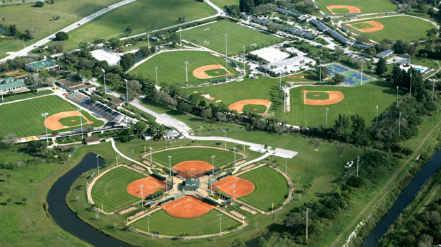 AAU Baseball tweet media