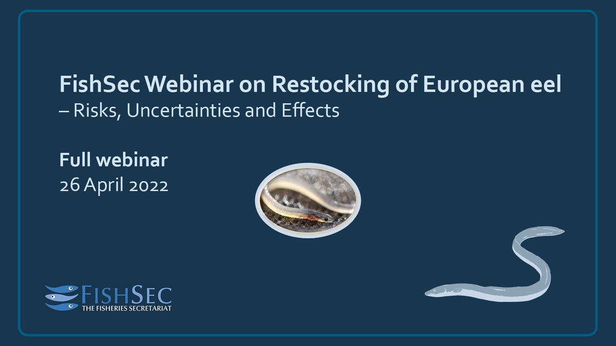 A recording of our “Webinar on Restocking of European eel – Risks, Uncertainties and Effects” is now online: https://t.co/fjaxLNOAcb #European_eel https://t.co/tKBxJDTJe3