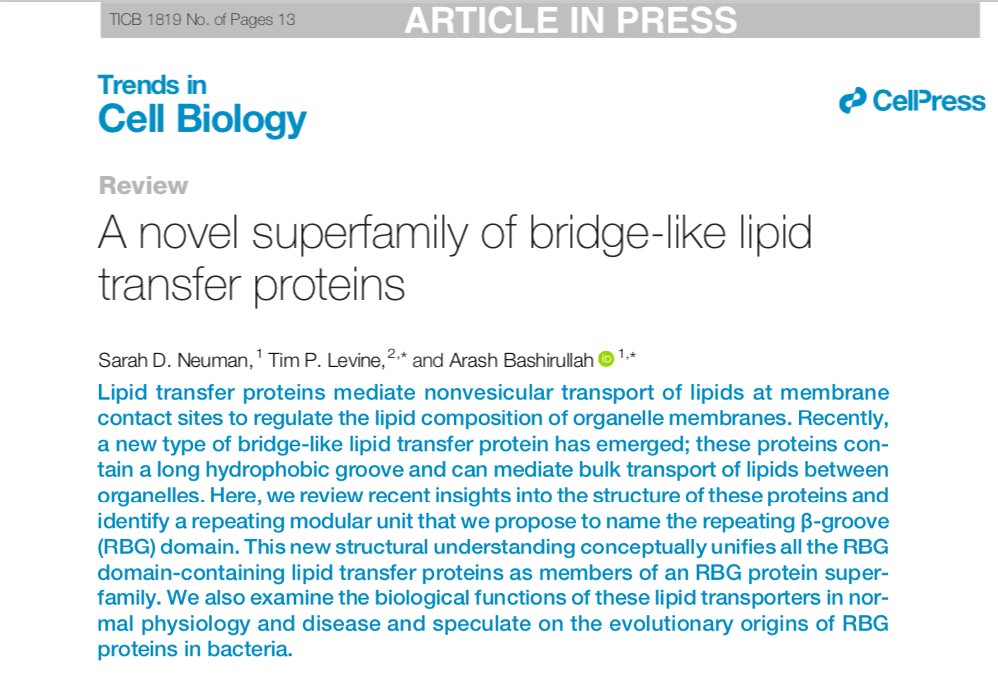 Our review of the structures of VPS13, ATG2, hobbit and many other lipid transfer proteins that bridge between organelles at a #membranecontactsite is out

Thanks to <a href="/hobbitflygirl/">Sarah Neuman</a> and <a href="/bashflylab/">Arash Bashirullah</a> for such a fruitful collaboration. 

Thread contains some of the figures.