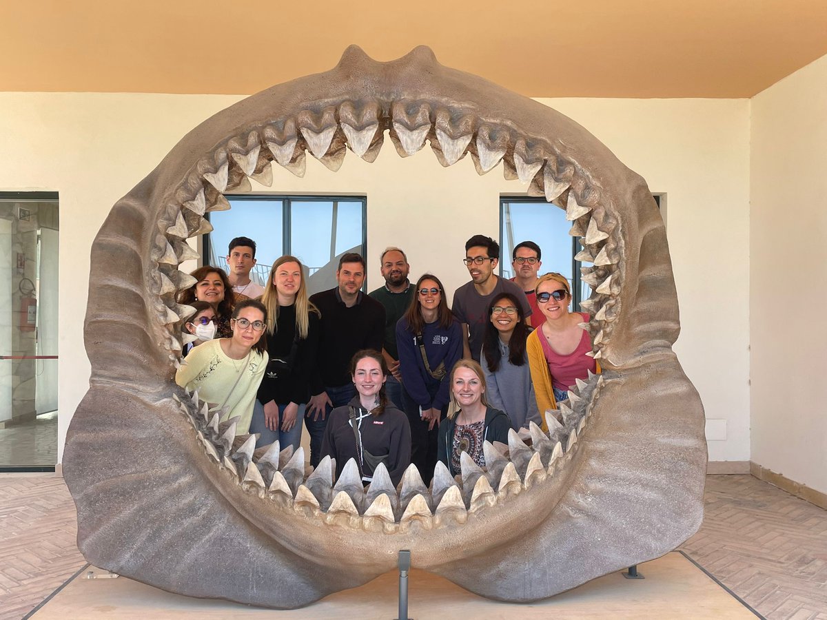 Eaten alive at the Stazione Zoologica Anton Dohrn 😅

Thanks to Ina Arnone and <a href="/Salv_DANIELLO/">Salvatore D'Aniello</a> for organising such a wonderful retreat!!