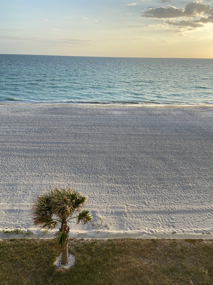 💫🦖 #rawr 🦖💫