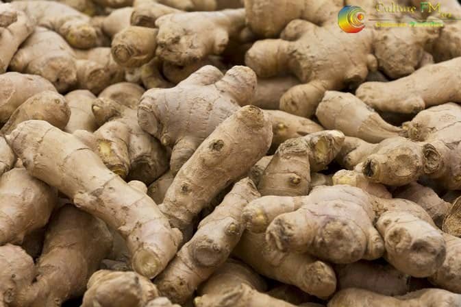 RadioCultureFm's tweet photo. Quelles sont les vertus thérapeutiques du #Gingembre?
Réponses attendues sur @RadioCultureFM
#Entrepreneuriat #Gingembre #Bogso #NyongEtKellé #Cameroun #Cameroon #CultureFM https://t.co/DP1sVgFCFF