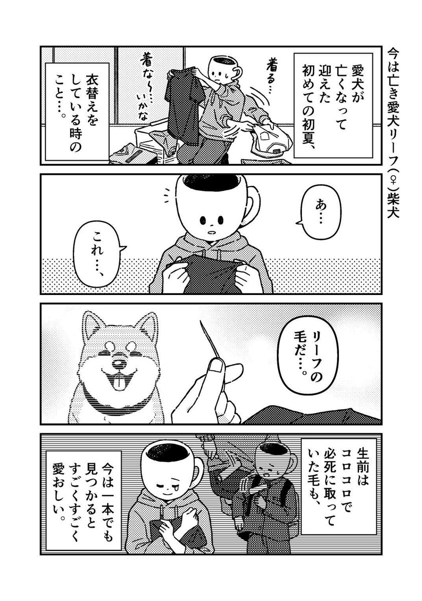 愛犬が亡くなって初めての初夏を迎えた時の話🐶
#漫画が読めるハッシュタグ 