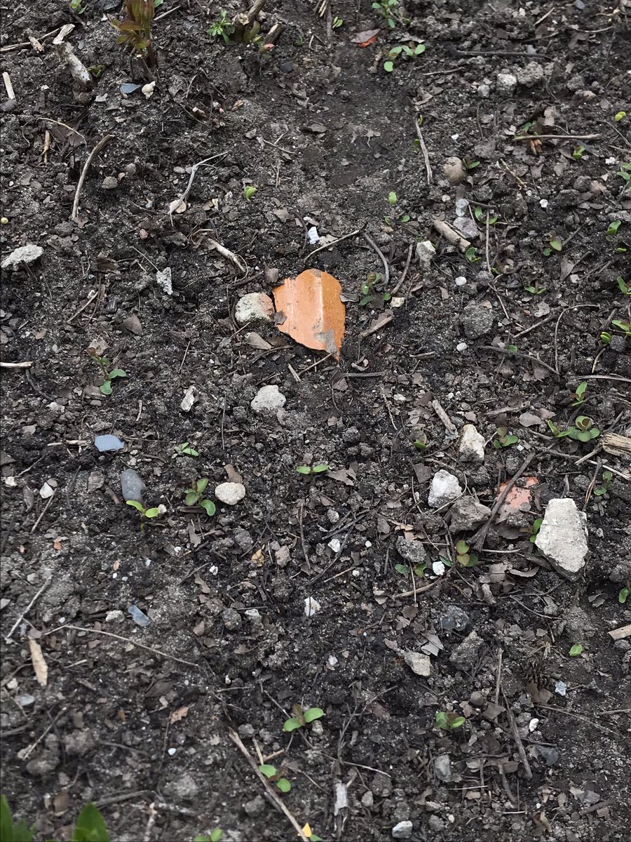 HesterLoeff's tweet photo. Archeologie is overal, als je maar weet waar je moet kijken. #Kloostertuin #Dom https://t.co/yNKQAh6iPo