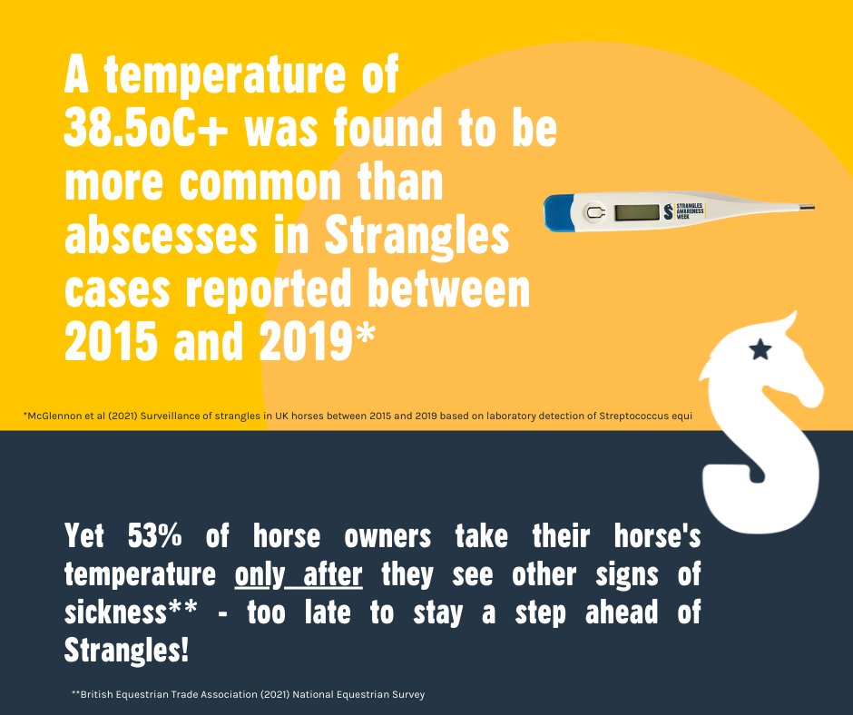 StranglesWeek's tweet image. 💛 Record your horse's resting temperature daily for a week
💛 Discover your horse's average health temperature
💛 Learn how to spot fever in your horse
💛 Enter our FREE prize draw (Ts &amp;amp; Cs apply)
#TempCheckChallenge #SAW2022 
Find out more 👉 redwings.org.uk/tempchecker