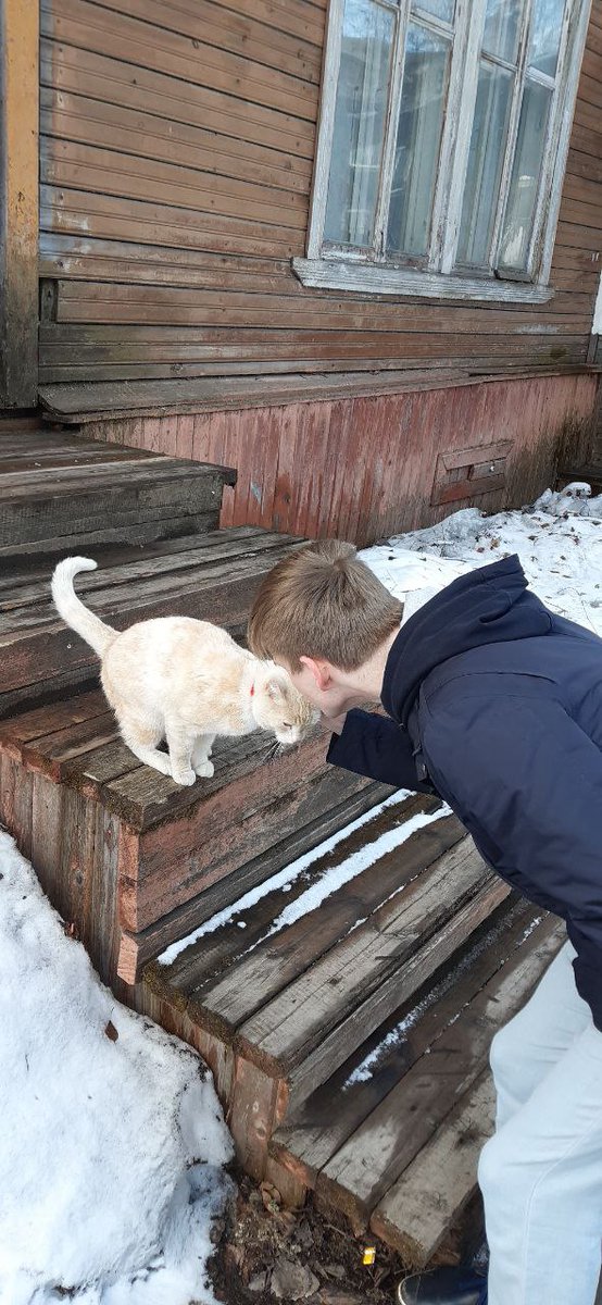 Romkance69's tweet photo. такой ласковый малыш 🥰 https://t.co/4YXgaTxP7N