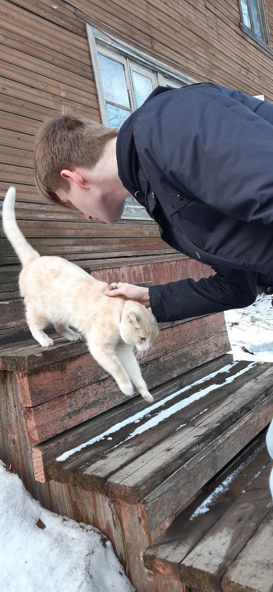 Romkance69's tweet photo. такой ласковый малыш 🥰 https://t.co/4YXgaTxP7N